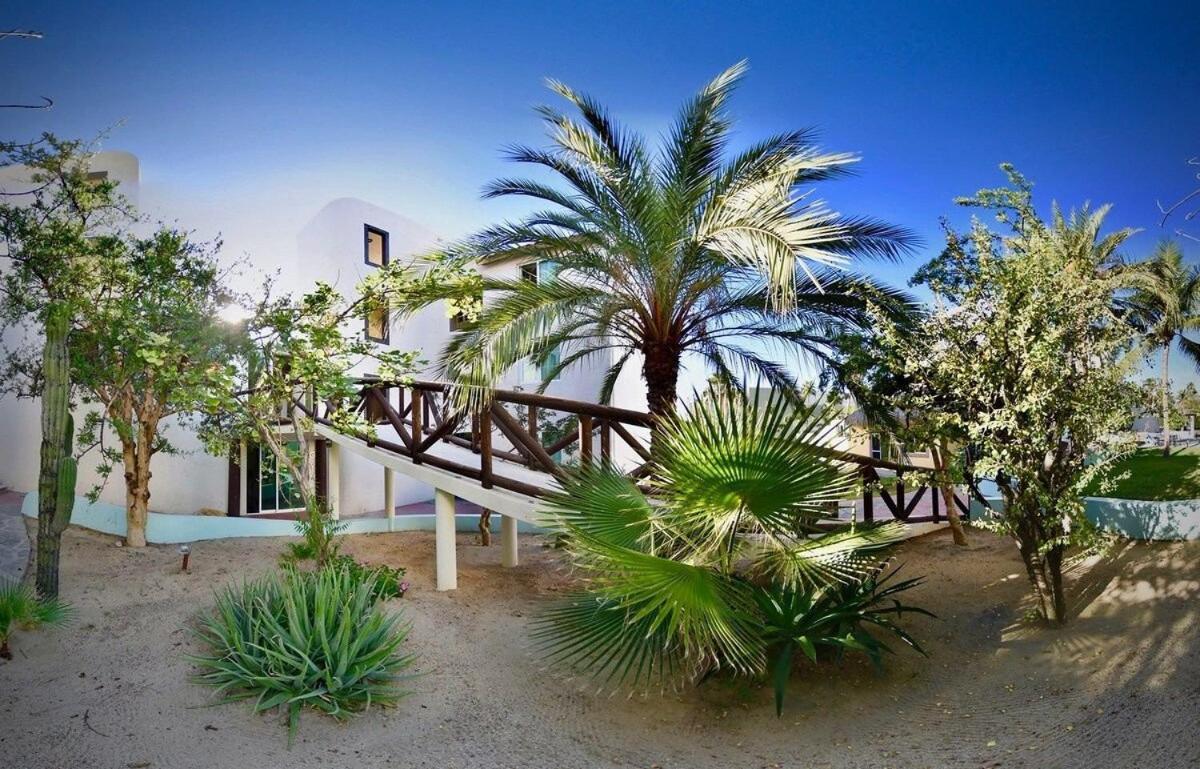 Sm Apartments San Jose del Cabo Exterior photo
